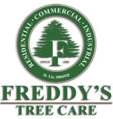 Freddy's Tree Service